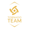 logo tornado team Świętochłowice zajęcia judo dla dzieci mma,